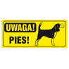 Tablica 23x10| Uwaga pies! Beagle